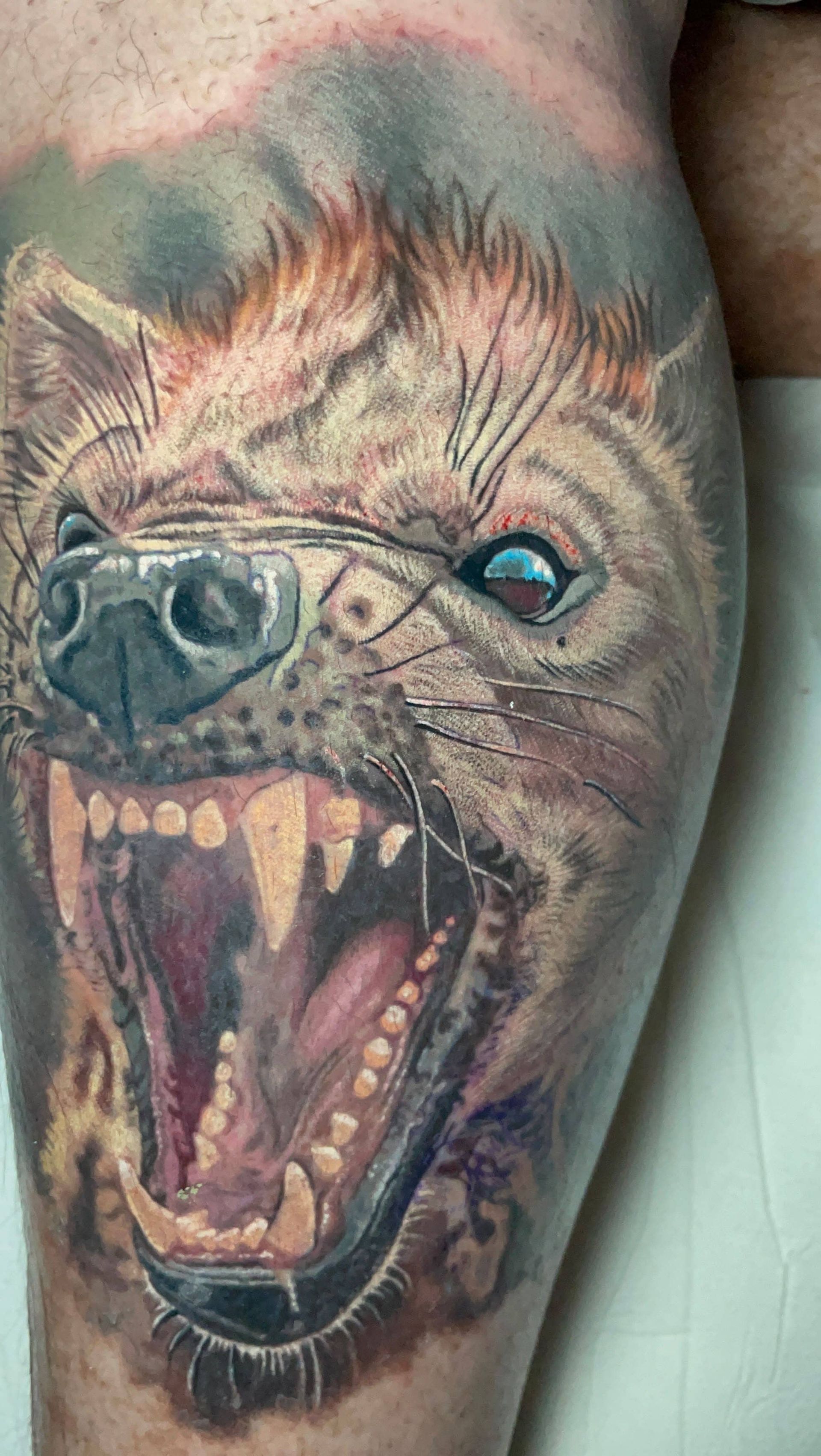 Tatuaje colorido de un lobo gruñendo con la boca abierta y ojos azules en la pierna de una persona.