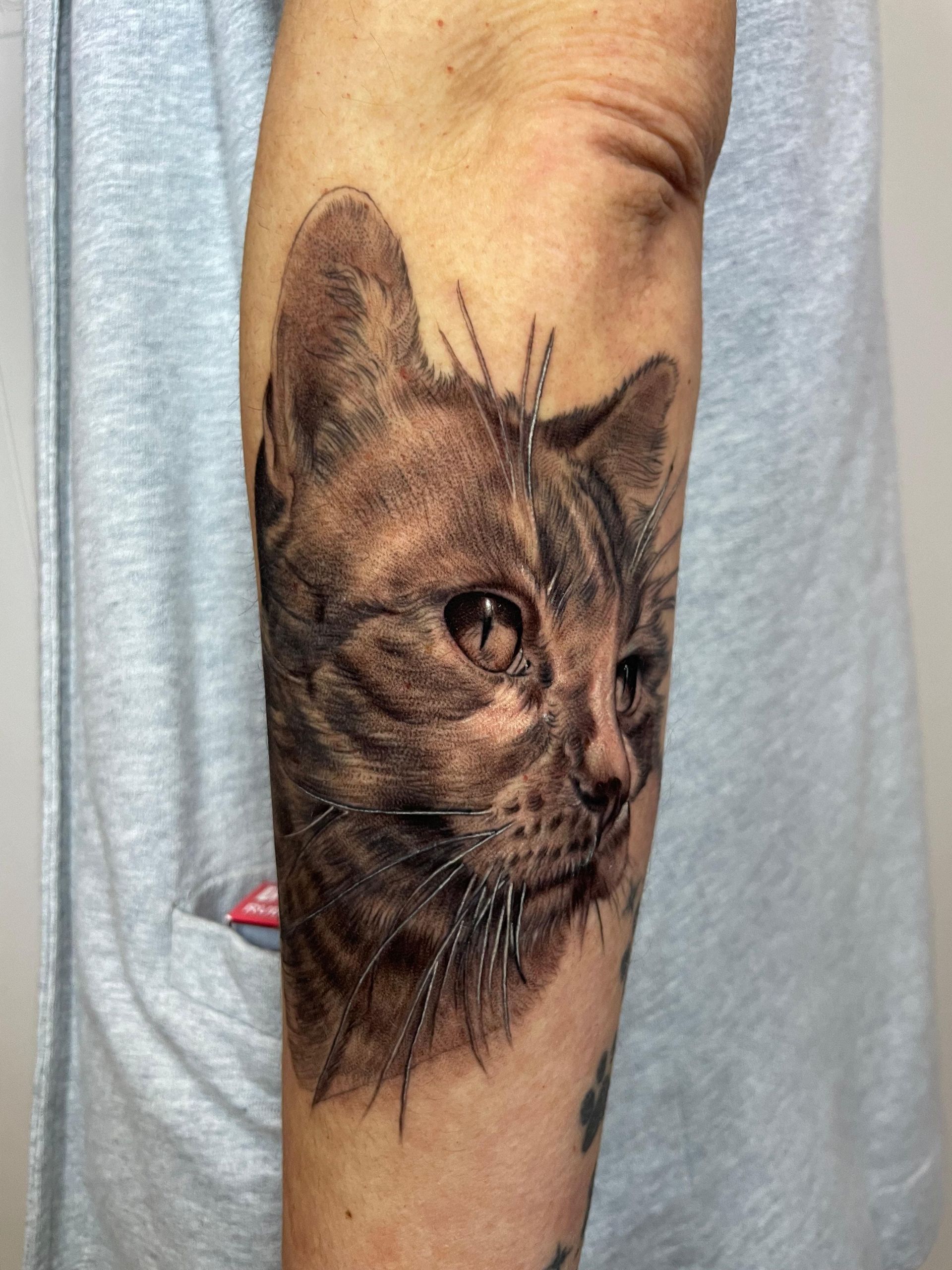 Tatuaje de la cara de un gato en el antebrazo de una persona, realizado con tinta marrón y negra.