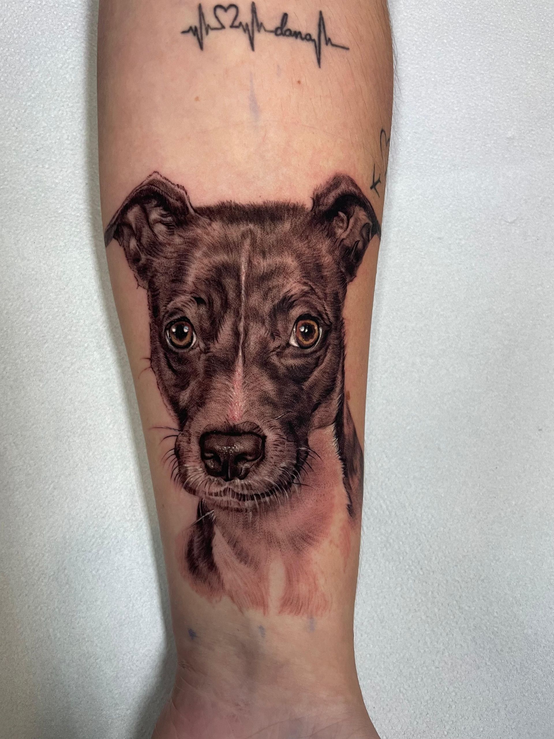 Tatuaje de la cara de un perro negro y marrón en un antebrazo, con una pequeña línea de texto encima.