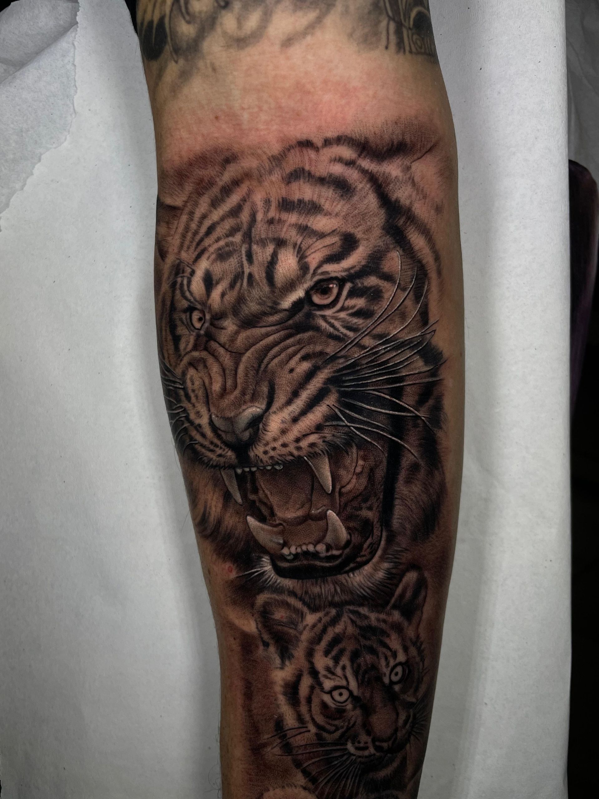 Tatuaje de tigre en blanco y negro en la pantorrilla, que muestra el rostro de un tigre gruñendo con sombreado detallado.