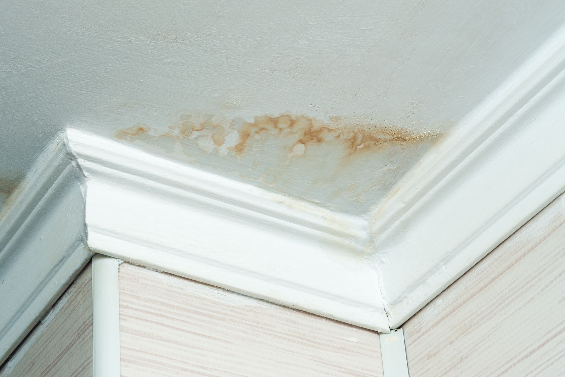 Des traces brunâtres d’humidité apparaissent dans l’angle d’un plafond
