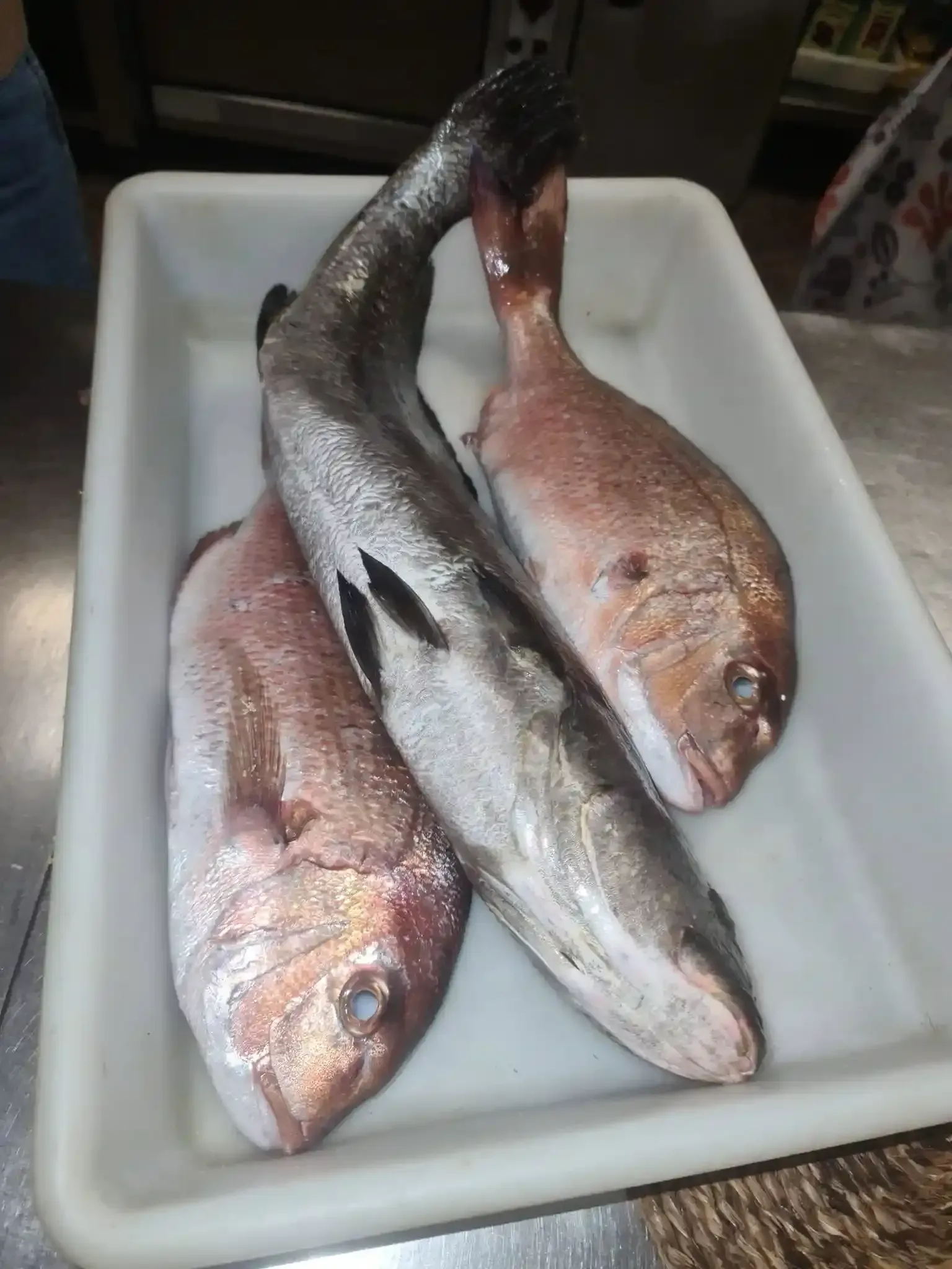 Tres pescados enteros colocados en una bandeja de espuma blanca sobre el mostrador de un mercado.