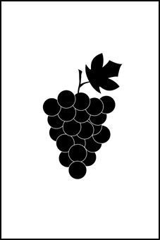 Palatina Auer Reben GmbH