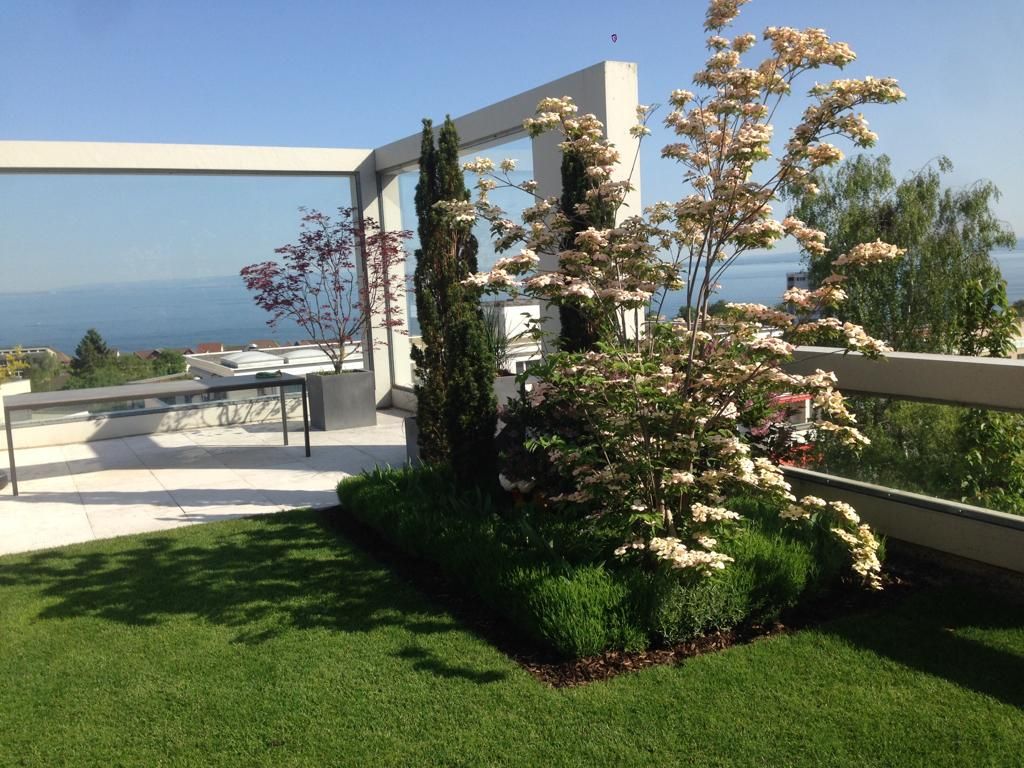 Sichtschutz Garten - Arabella Gartendesign - Tägerwilen