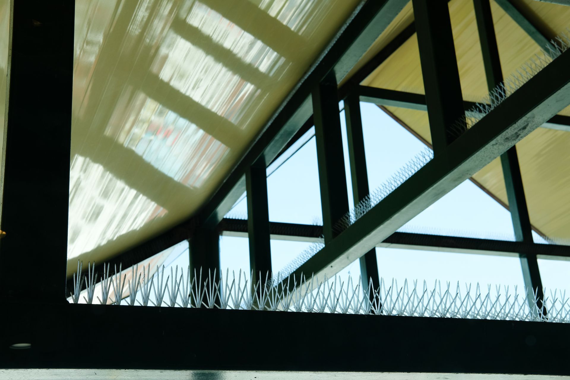 Protection antivolatile sur les poutres d'un bâtiment