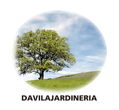 Árbol en una colina cubierta de hierba bajo un cielo azul. "Davilajardinería" abajo.