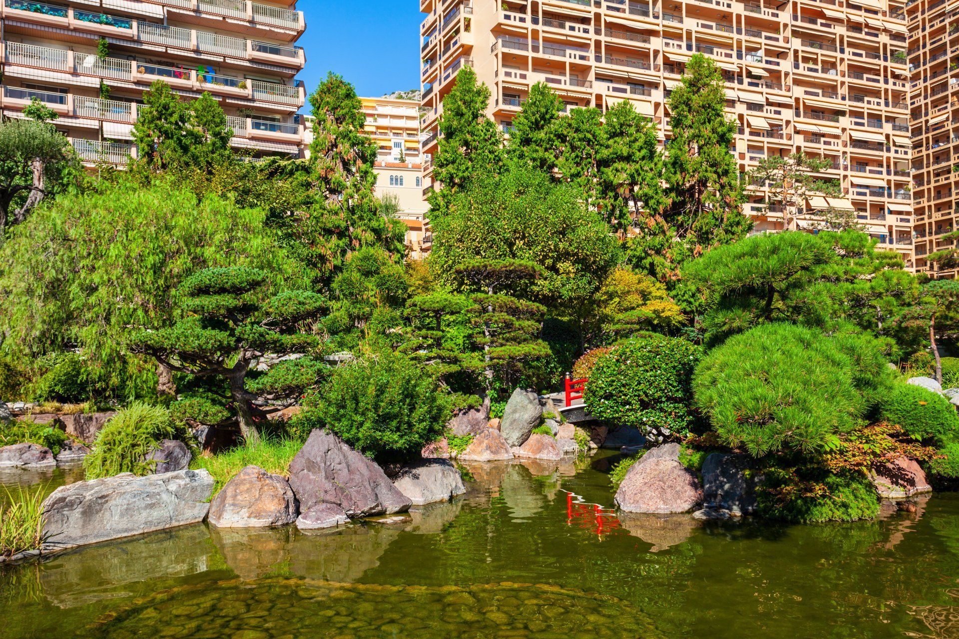 Jardín japonés con estanque, árboles, rocas y edificios al fondo; día soleado.