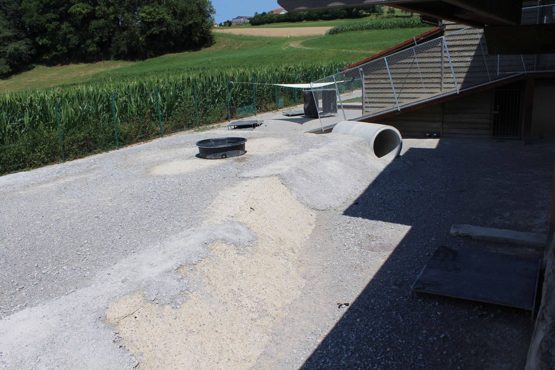 Pension pour chiens et chats - Pradog Sarl