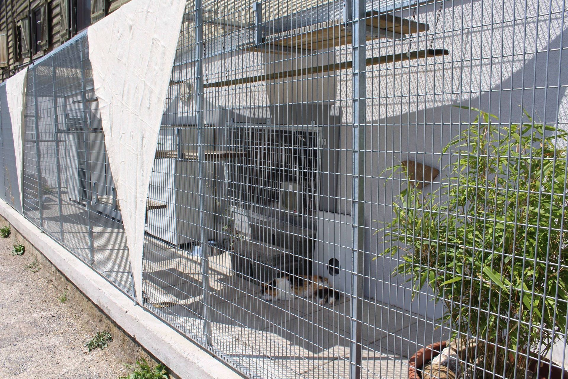 Pension pour chiens et chats - Pradog Sarl