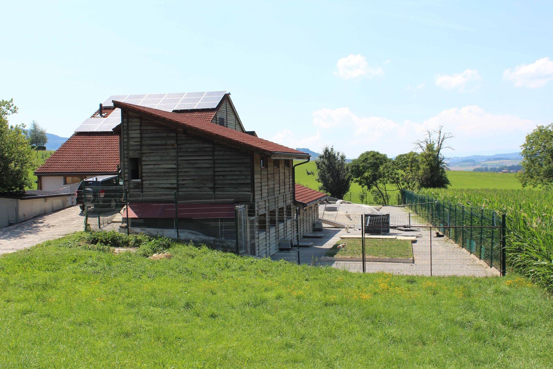 Pension pour chiens et chats - Pradog Sarl