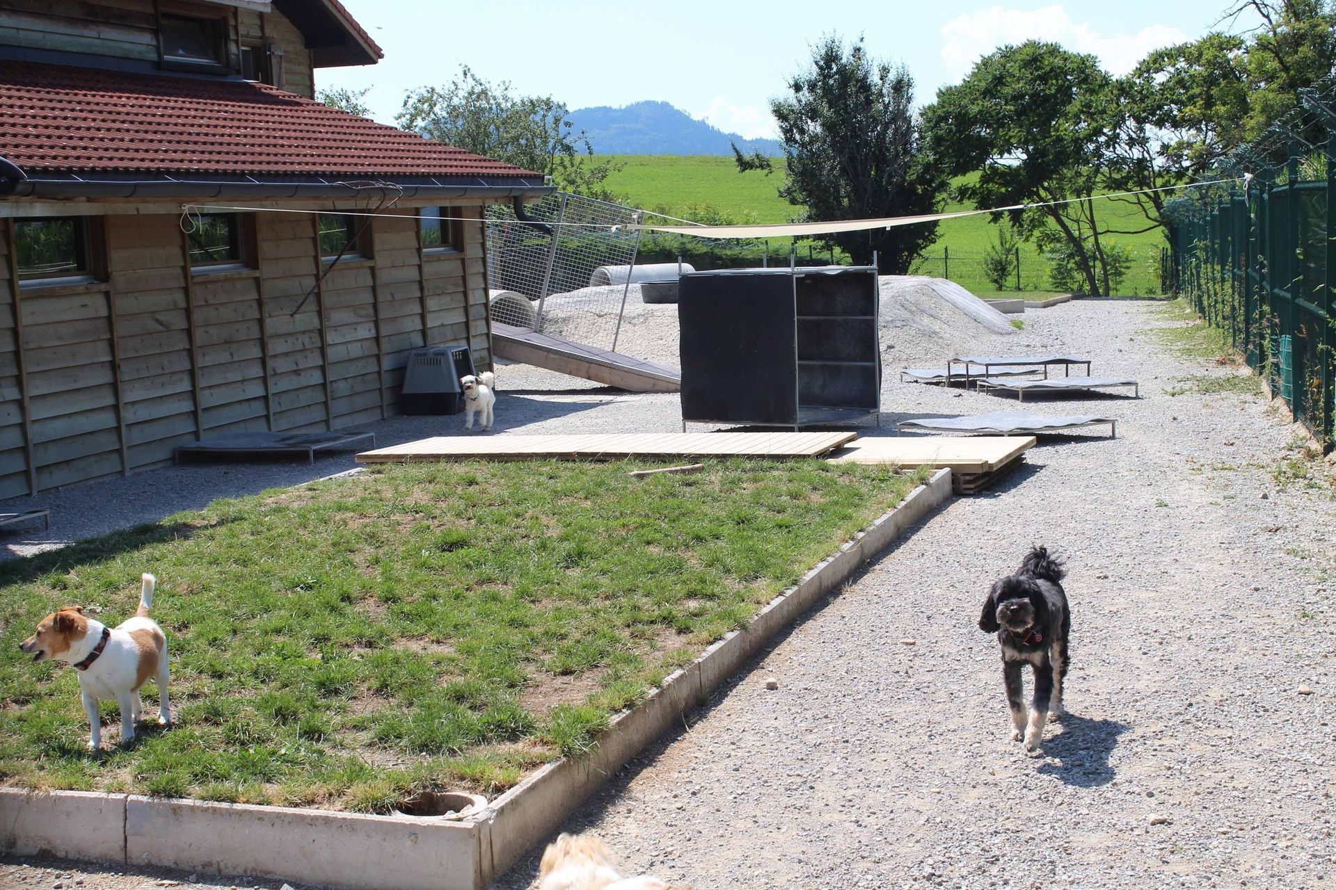 Pension pour chiens et chats - Pradog Sarl