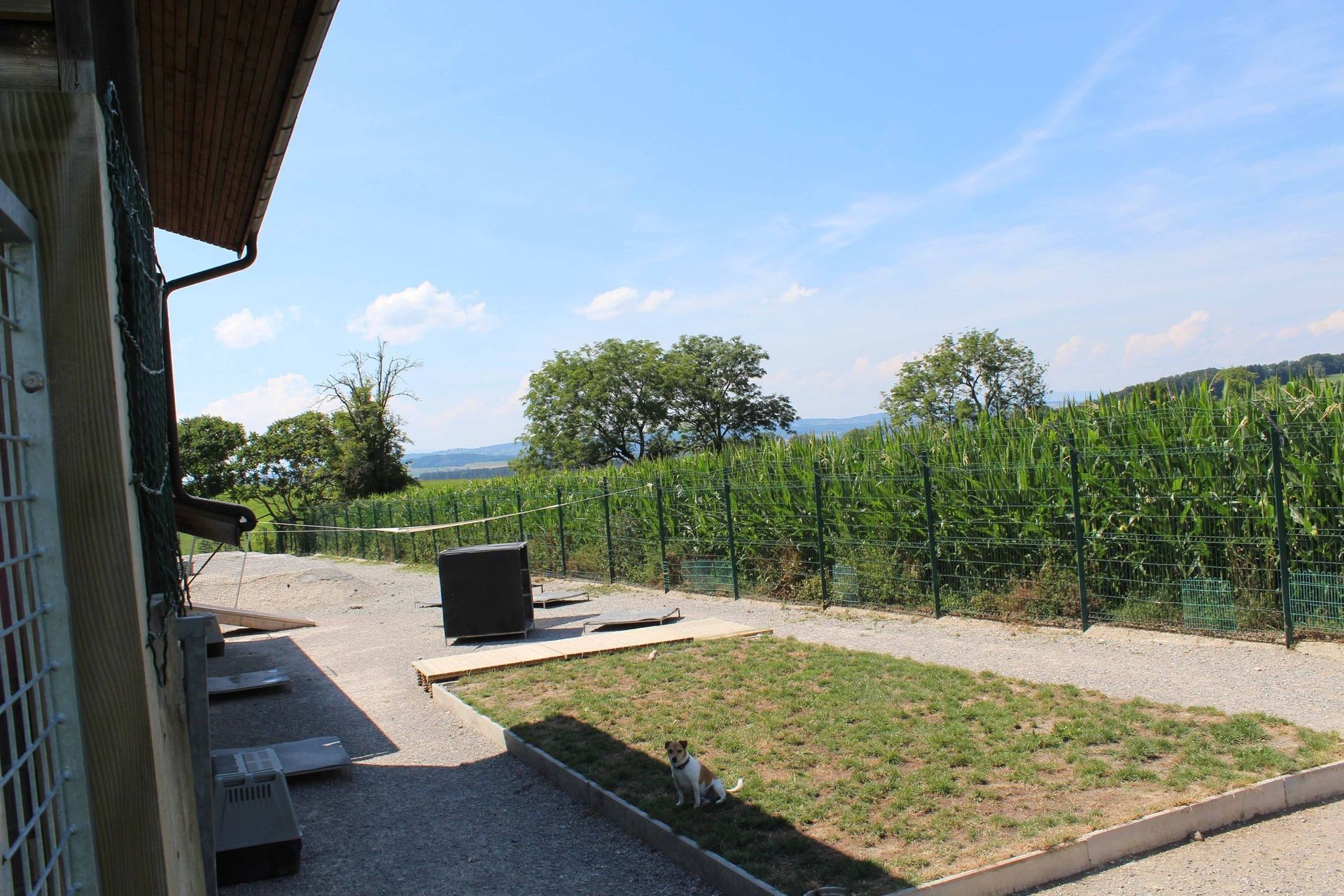 Pension pour chiens et chats - Pradog Sarl