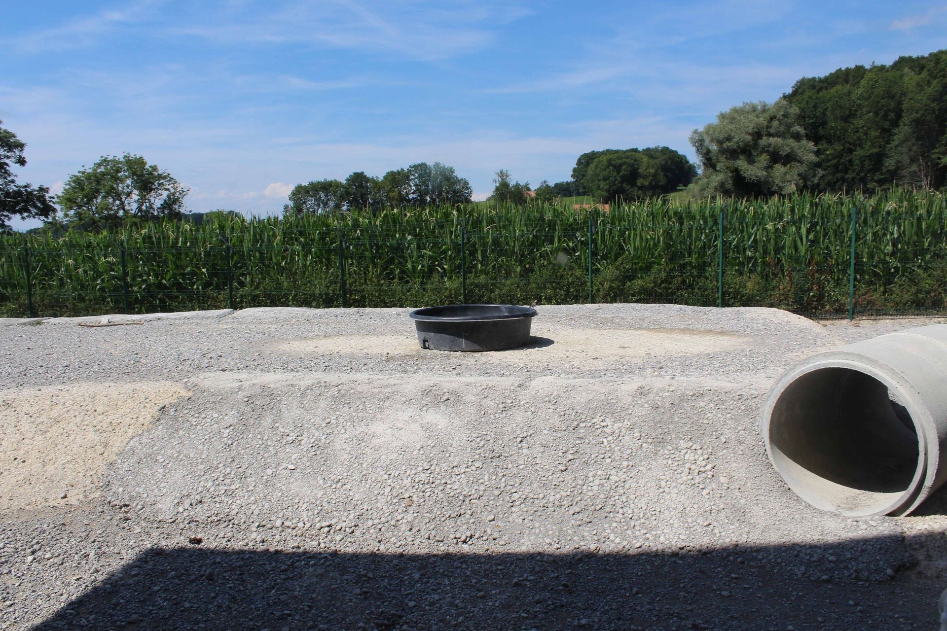 Pension pour chiens et chats - Pradog Sarl