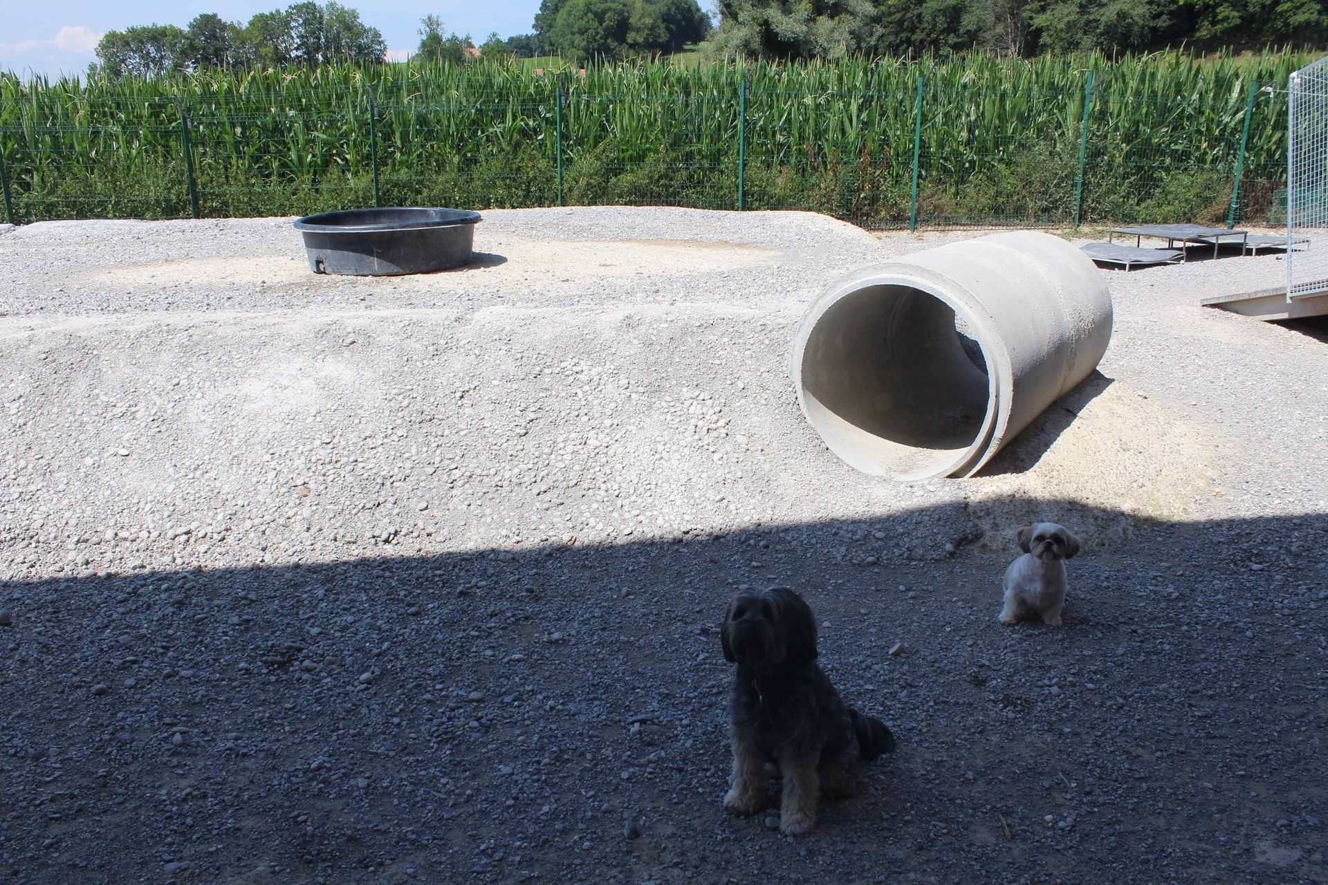 Pension pour chiens et chats - Pradog Sarl