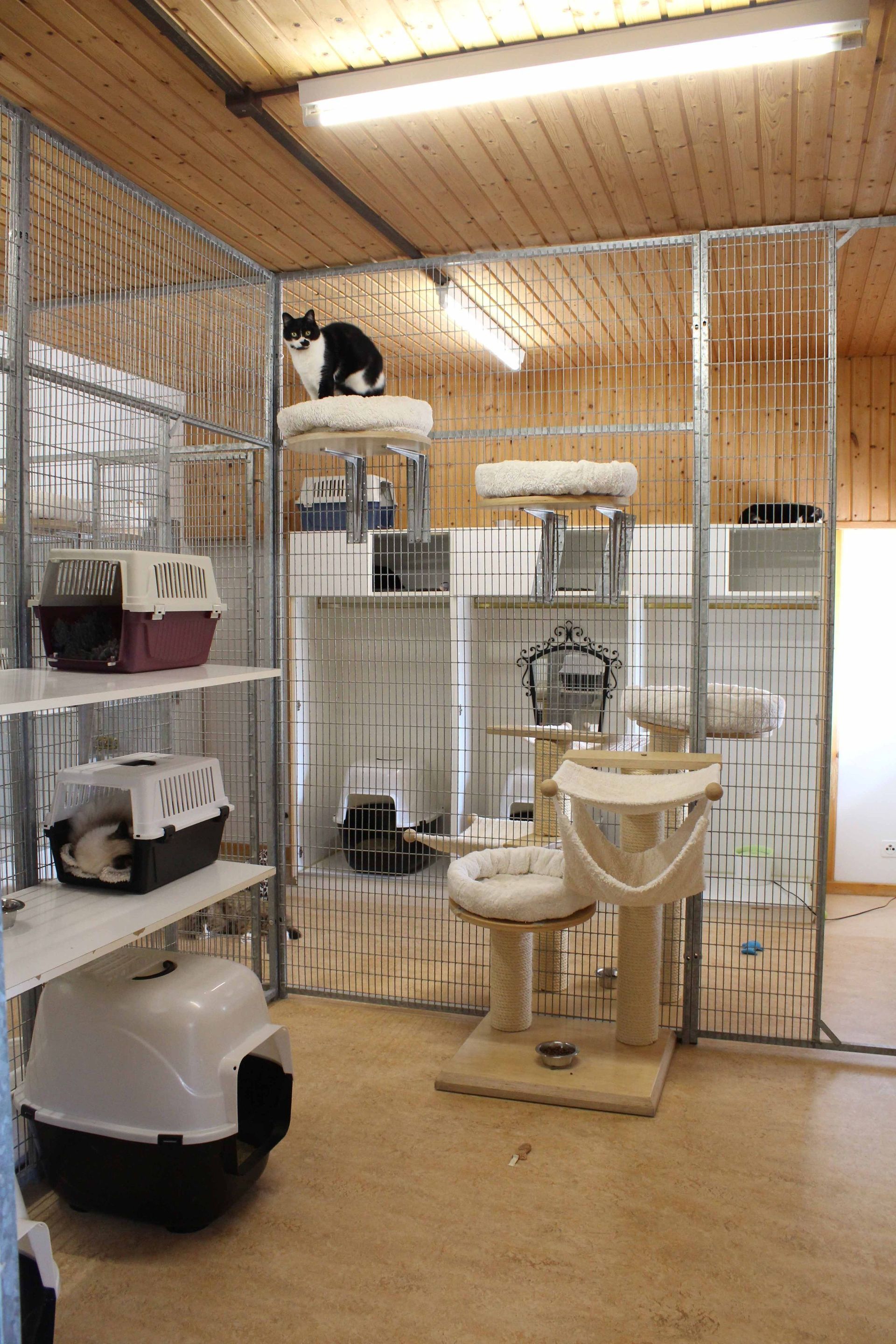 Pension pour chiens et chats - Pradog Sarl