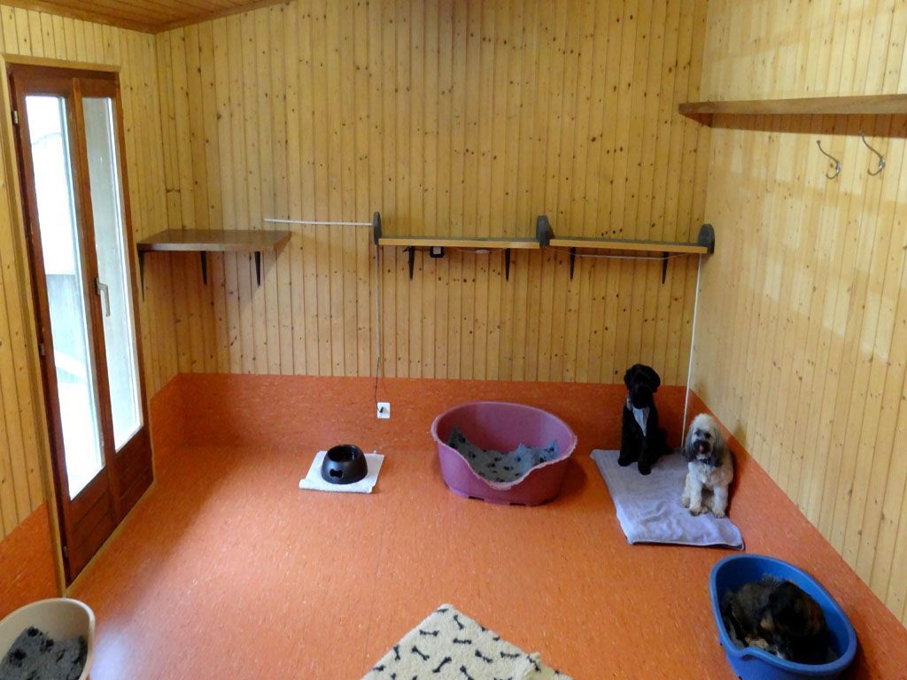 Le chalet, pour les petits chiens