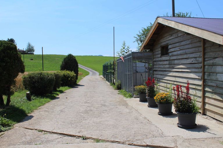 Pension pour chiens et chats - Pradog Sarl