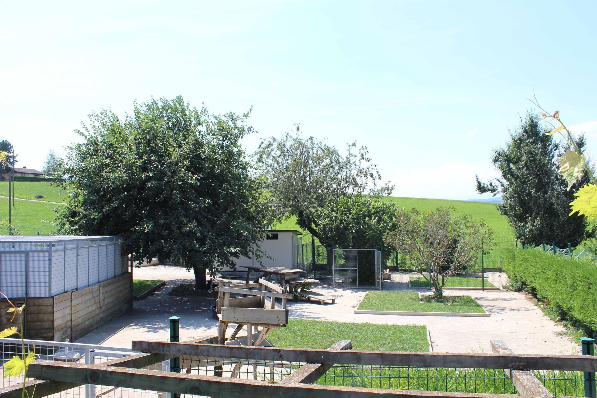 Pension pour chiens et chats - Pradog Sarl