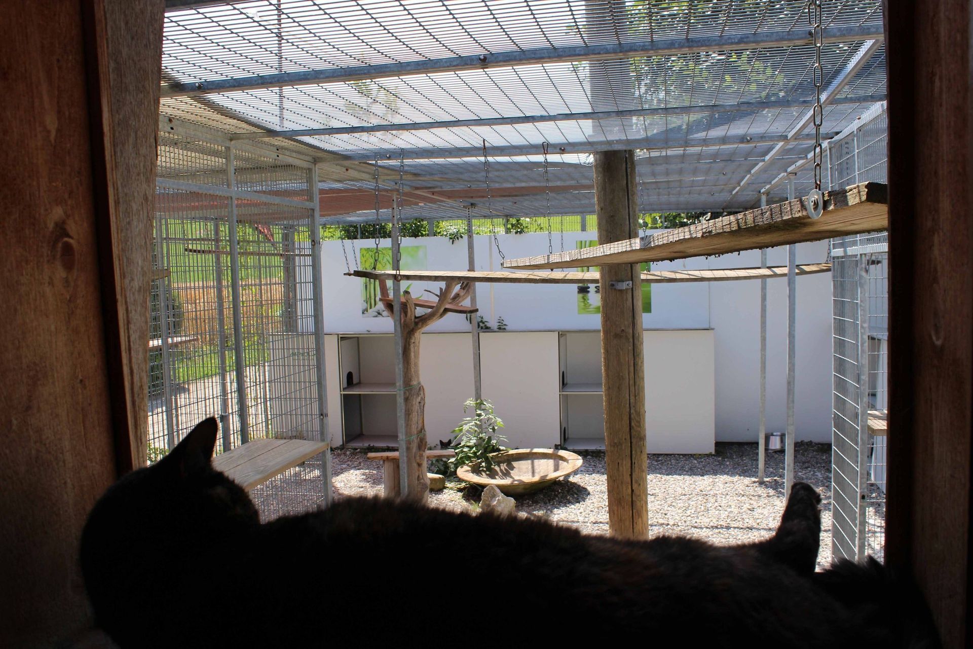 Pension pour chiens et chats - Pradog Sarl