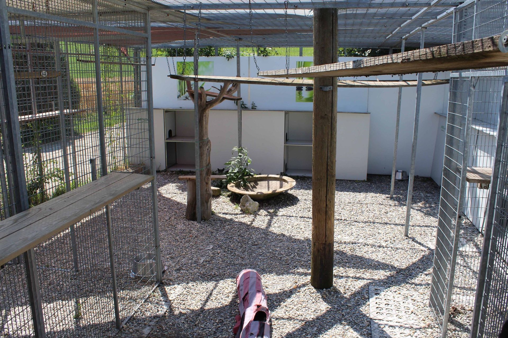 Pension pour chiens et chats - Pradog Sarl