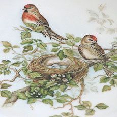 Klassische Naturmalerei | Deniz Demiral Dogan | Porzellan-Malatelier | Porzellanmalkurse, Porzellanmalerei, Porzellan-Geschäft | Schaffhausen