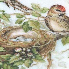 Klassische Naturmalerei | Deniz Demiral Dogan | Porzellan-Malatelier | Porzellanmalkurse, Porzellanmalerei, Porzellan-Geschäft | Schaffhausen