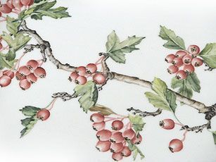 Klassische Naturmalerei | Deniz Demiral Dogan | Porzellan-Malatelier | Porzellanmalkurse, Porzellanmalerei, Porzellan-Geschäft | Schaffhausen