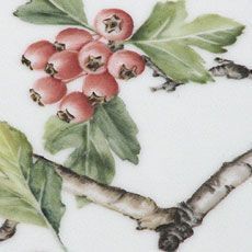 Klassische Naturmalerei | Deniz Demiral Dogan | Porzellan-Malatelier | Porzellanmalkurse, Porzellanmalerei, Porzellan-Geschäft | Schaffhausen