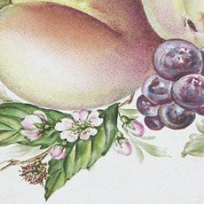 Klassische Naturmalerei | Deniz Demiral Dogan | Porzellan-Malatelier | Porzellanmalkurse, Porzellanmalerei, Porzellan-Geschäft | Schaffhausen