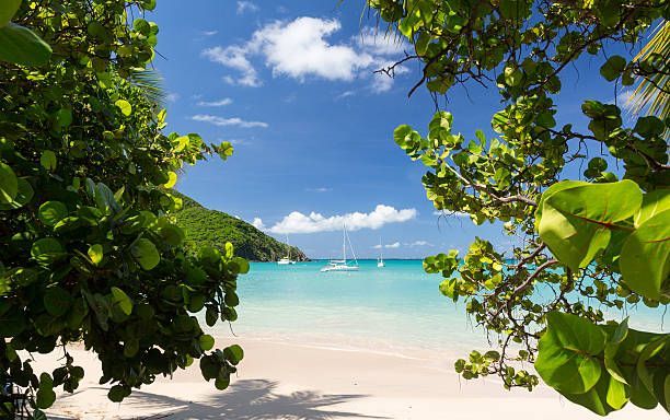 Beach scene framed by green foliage; turquoise water, white sand, sailboats, blue sky with clouds.