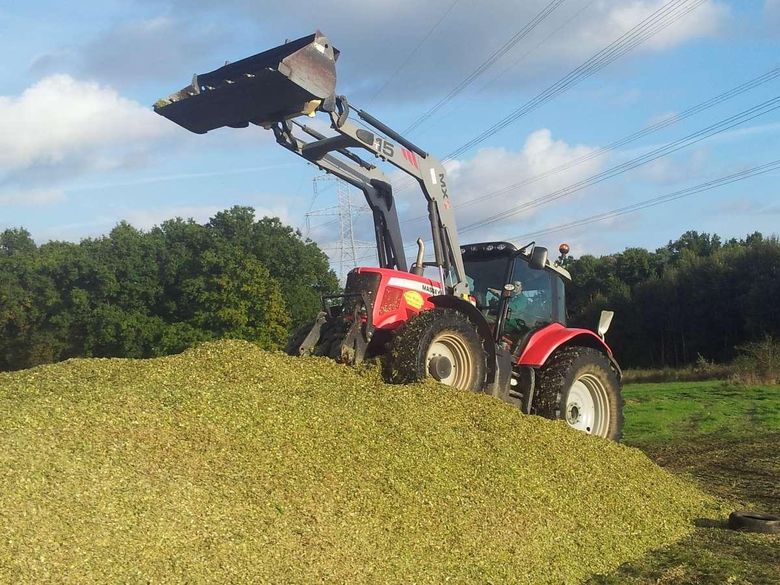 Ensilage maïs, travaux agricoles dans la Sarthe 