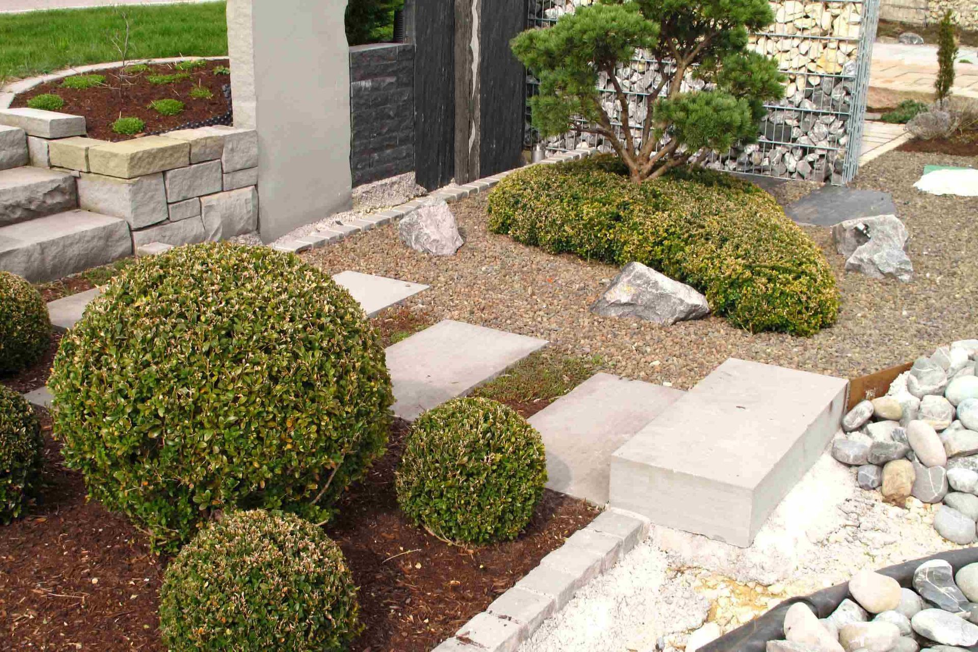 Un jardín con muchas plantas y rocas.