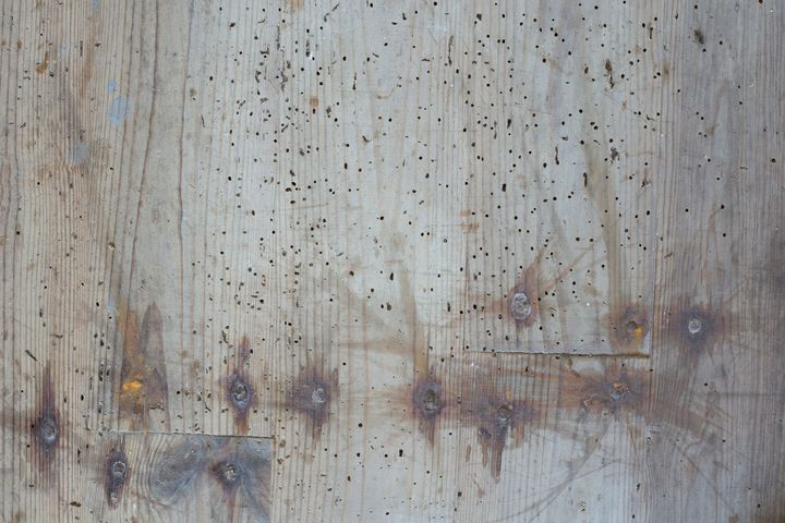 Des trous dans du bois