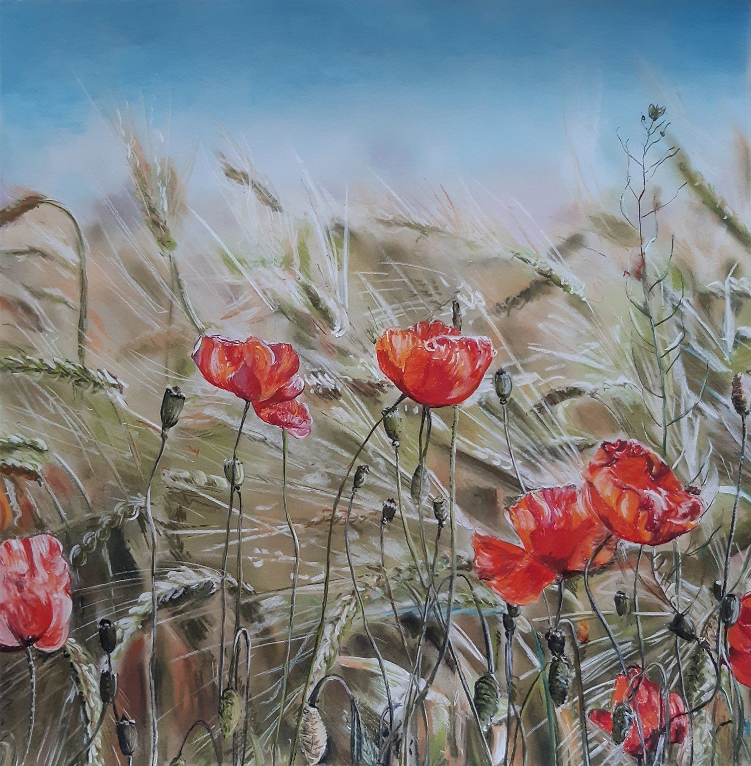 schilderij met planten en rode klaproosjes