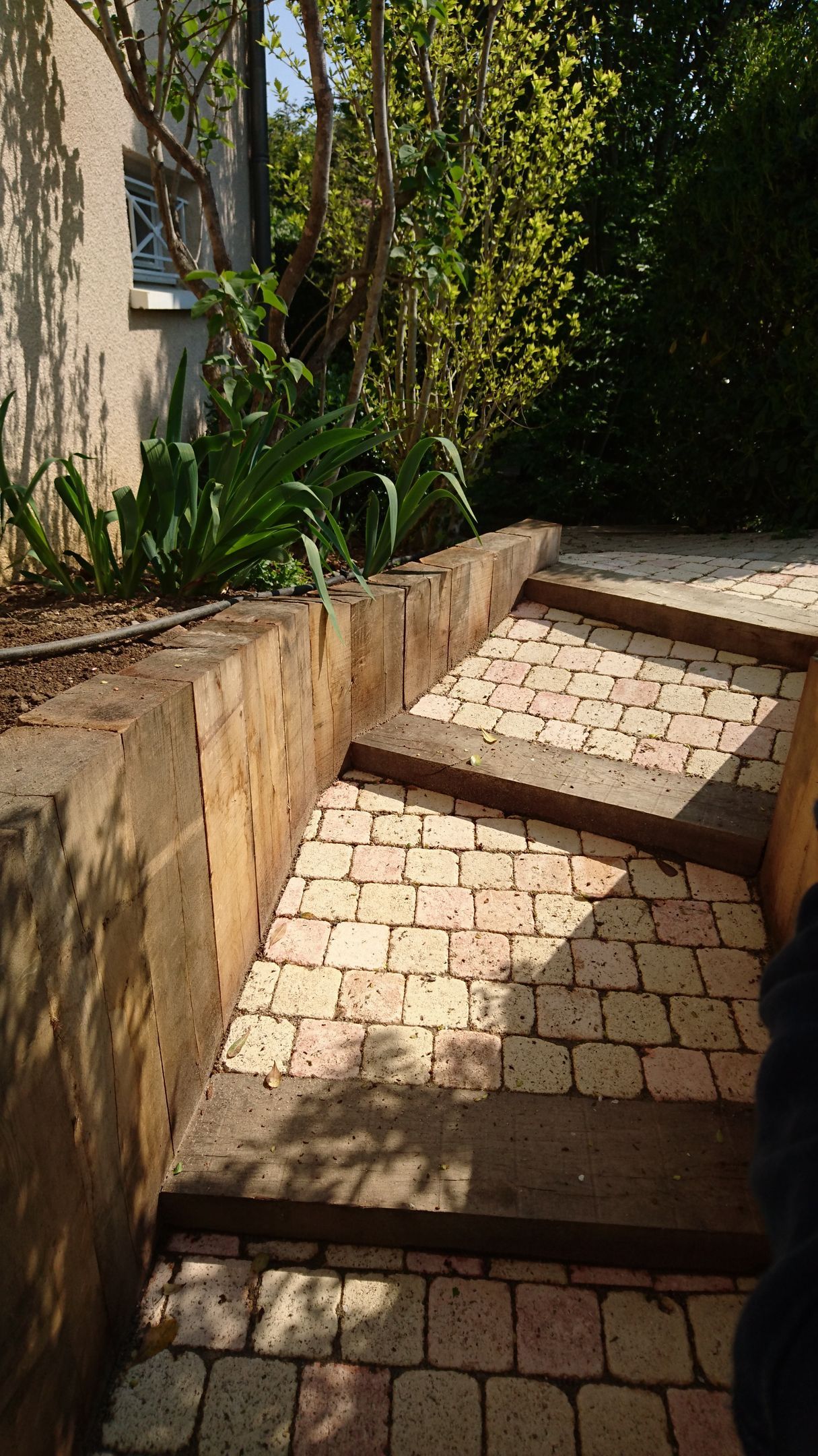 Un escalier extérieur en pierre avec des contremarches en bois, bordé par un muret et des plantes de jardin.