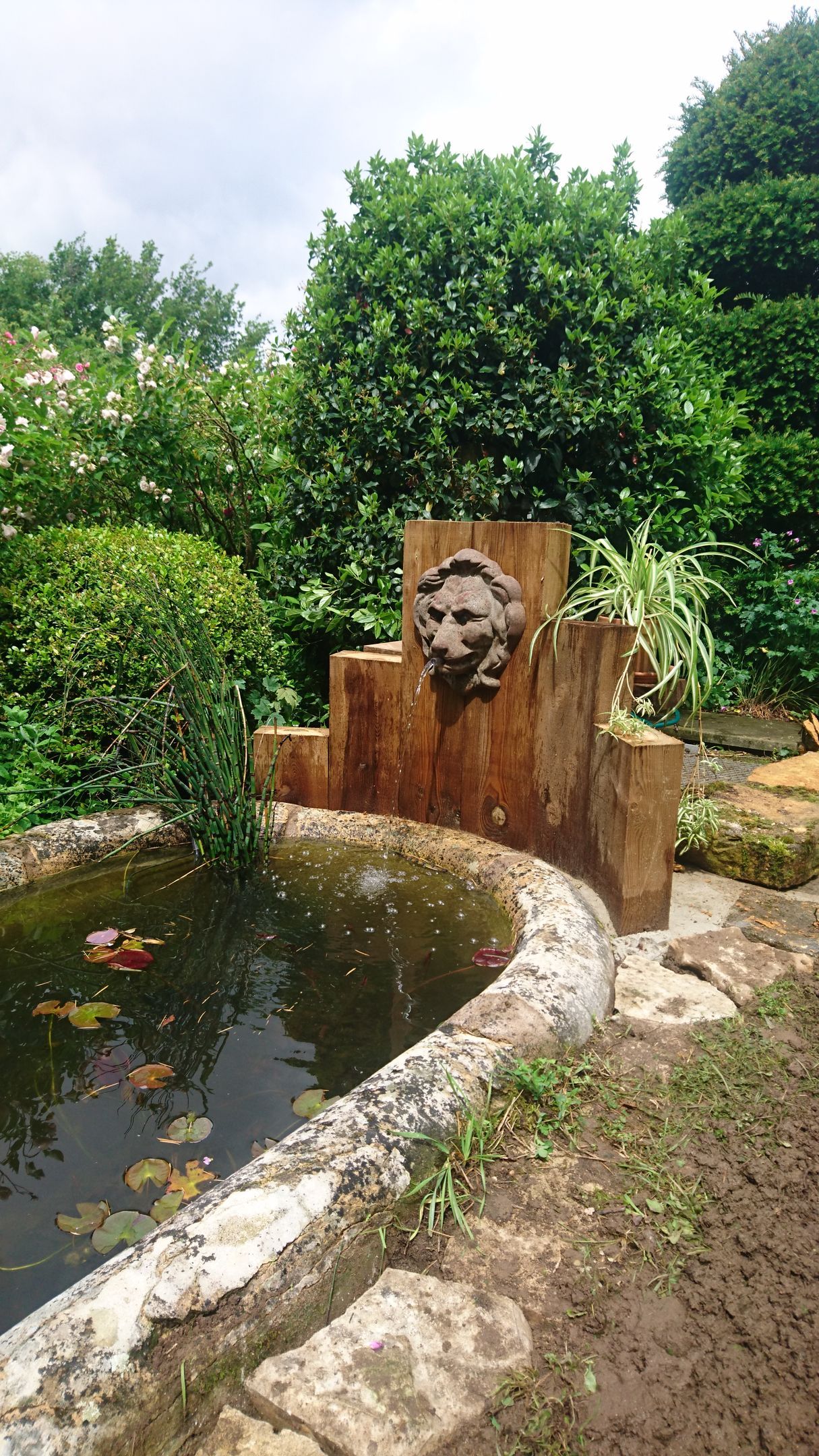 Une fontaine en pierre ornée d'une tête de lion sculptée, entourée d'une végétation luxuriante, à côté d'un bassin de jardin.