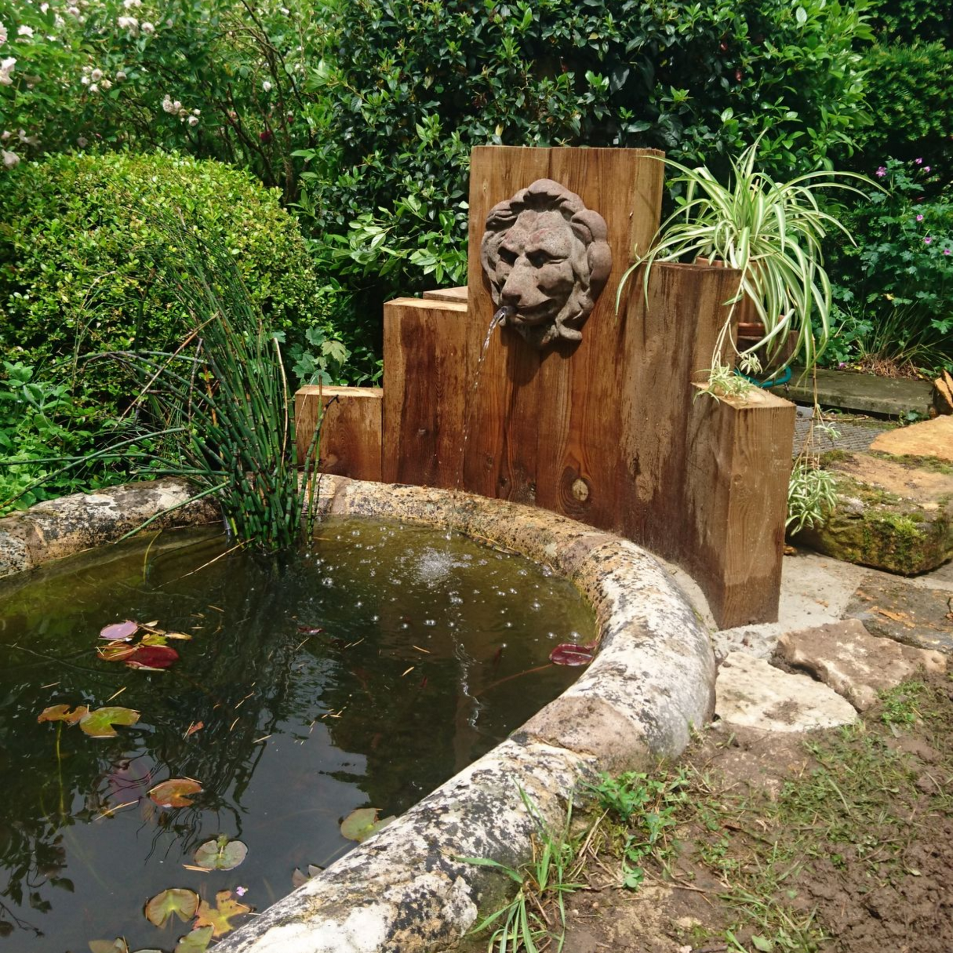 Une fontaine centrale ornée d'une tête de lion et de panneaux de bois, surplombe un petit bassin dans un jardin luxuriant.