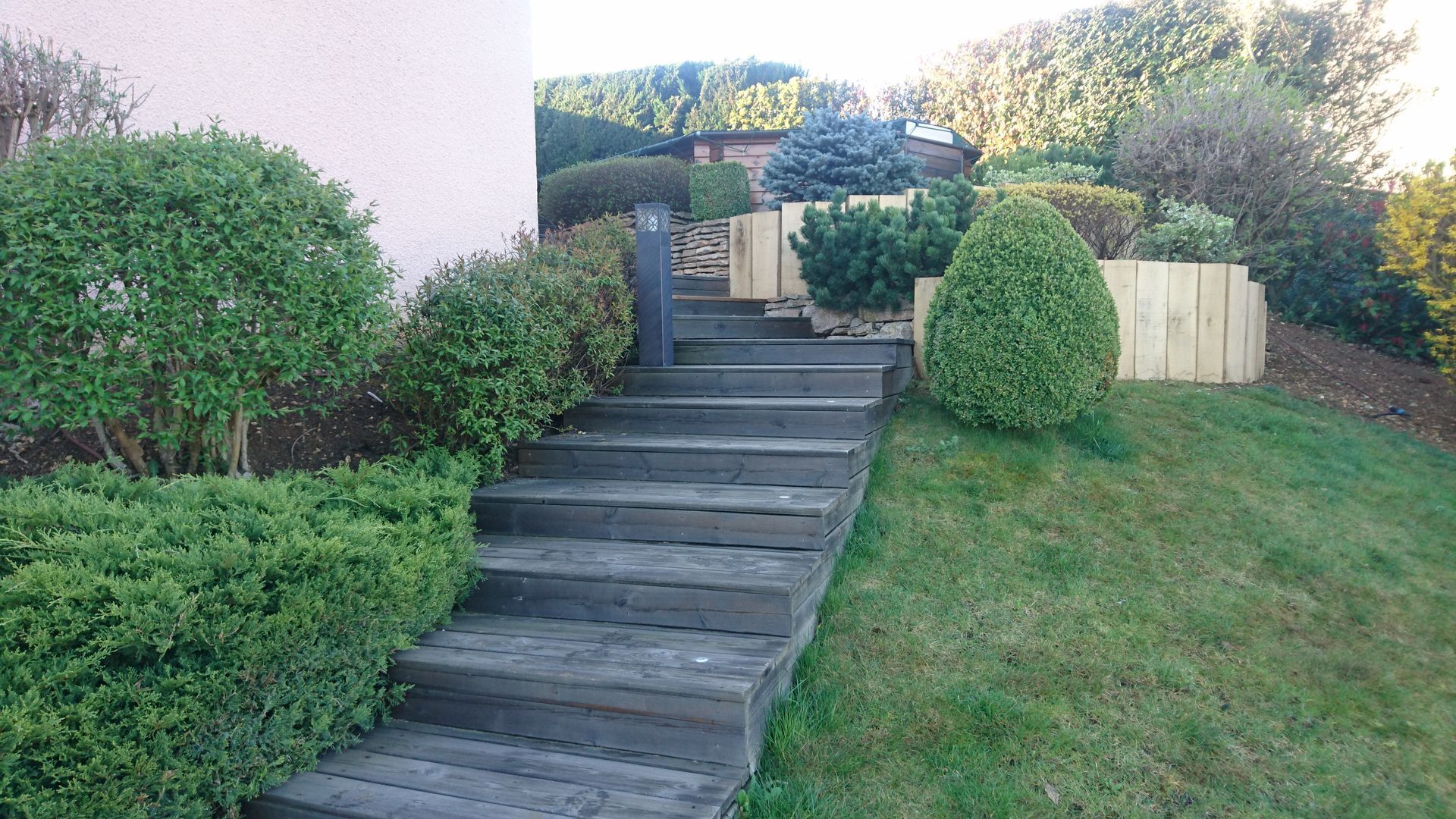 Un escalier en bois aménagé dans une pente herbeuse, bordé d'arbustes verts bien taillés et d'un mur de soutènement en bois.