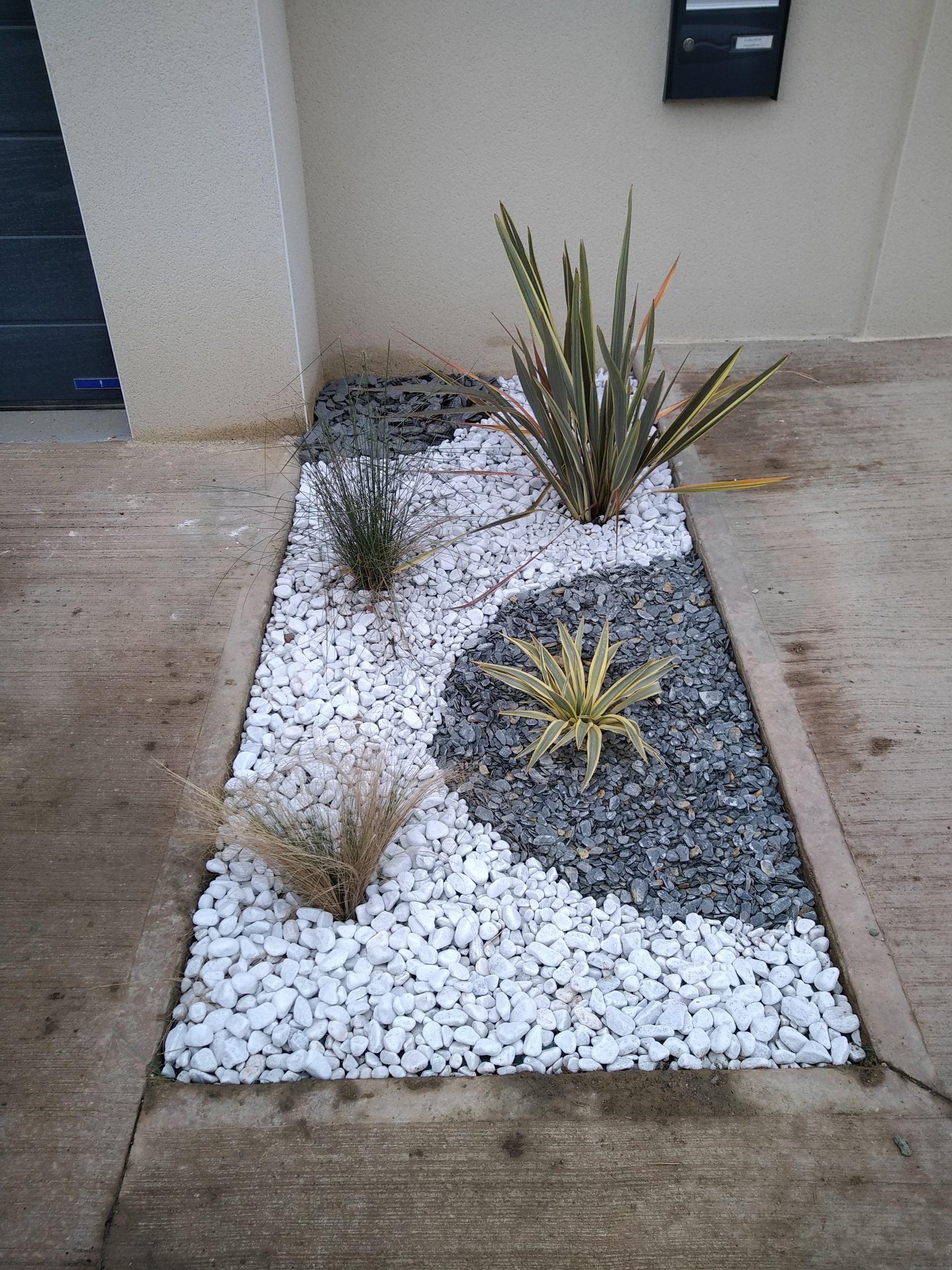 Un parterre rectangulaire orné de galets blancs et gris, agrémenté de plusieurs plantes succulentes et graminées.