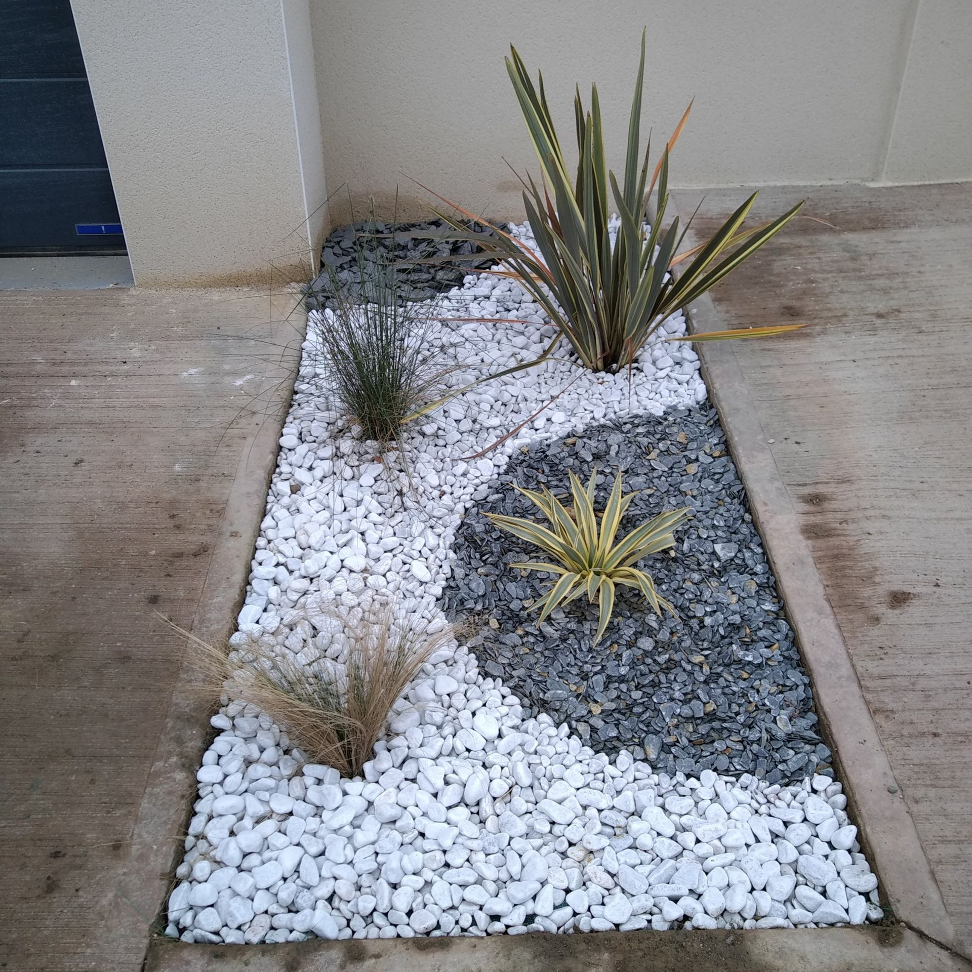 Un parterre rectangulaire orné de galets blancs et gris, agrémenté de plusieurs plantes succulentes et graminées.