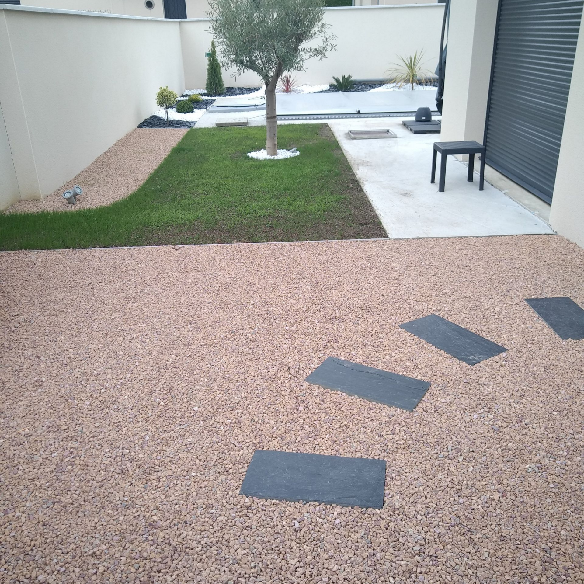 Un jardin moderne avec une zone de gravier, une petite pelouse rectangulaire agrémentée d'un olivier et de dalles en pierre.