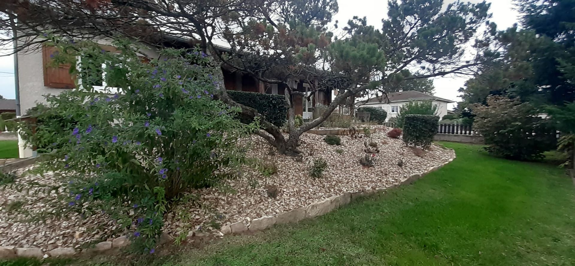 Un parterre de jardin en pente recouvert de pierres claires, de petits arbustes et d'un arbre surplombant une maison.