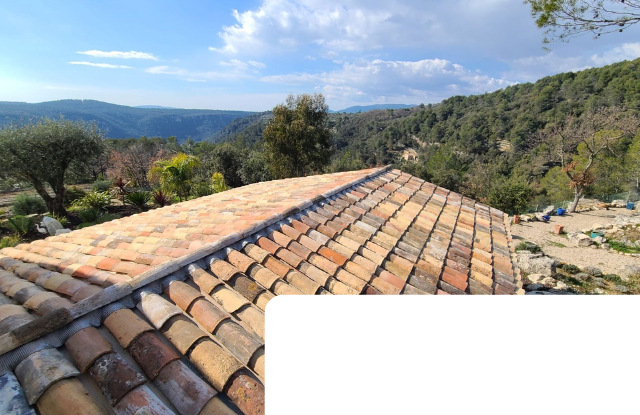 Un toit avec vue sur une montagne et des arbres