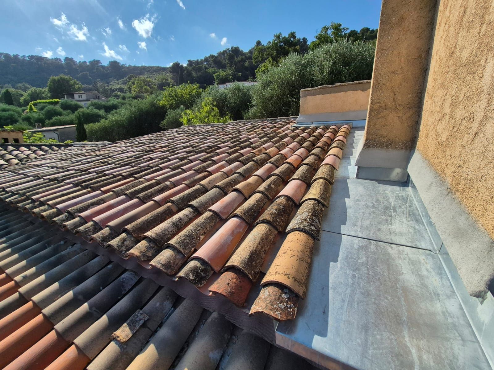 Toit de tuiles en terre cuite recouvert de mousse.