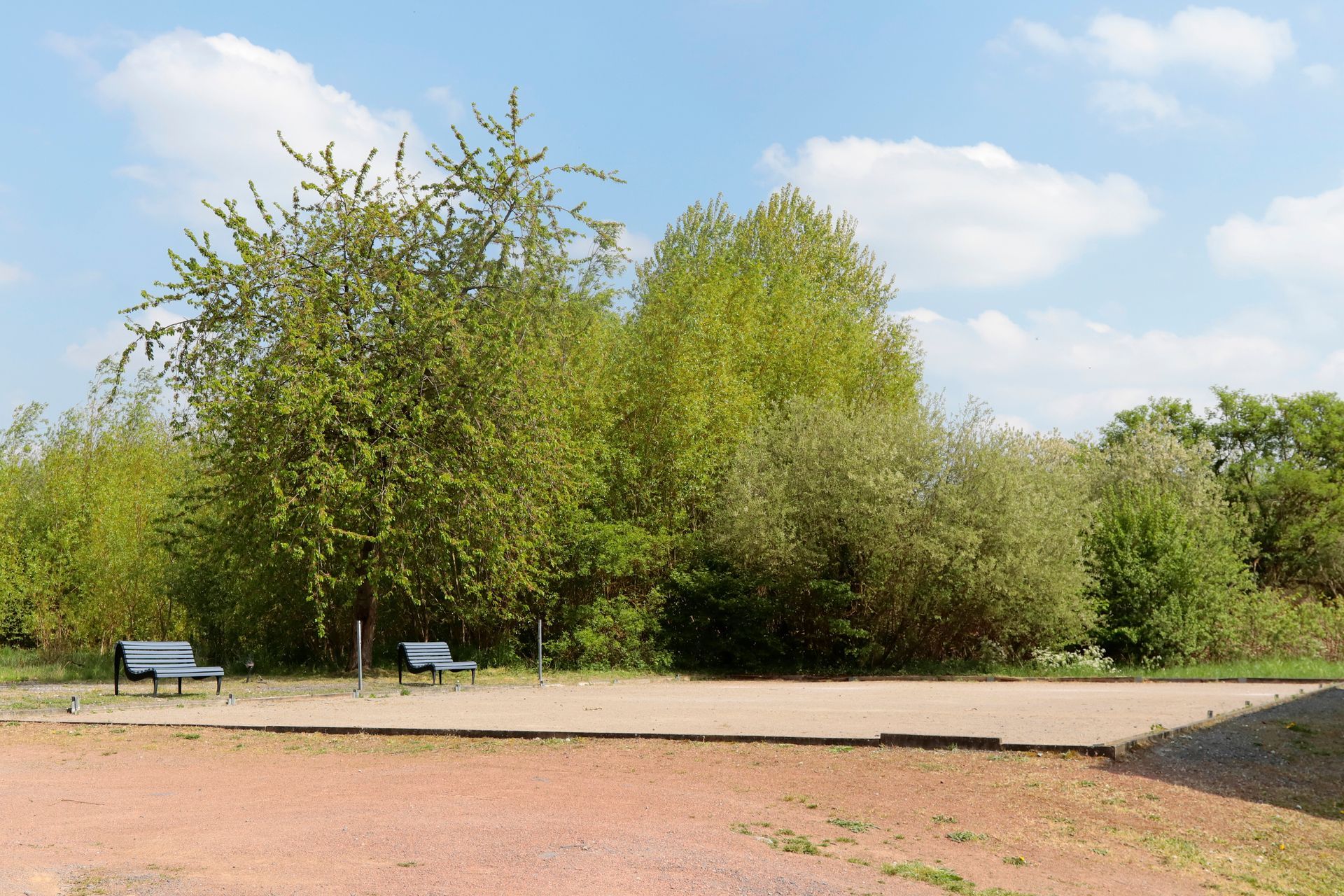 Allée de parc bordée d'arbres avec des bancs sous un ciel bleu
