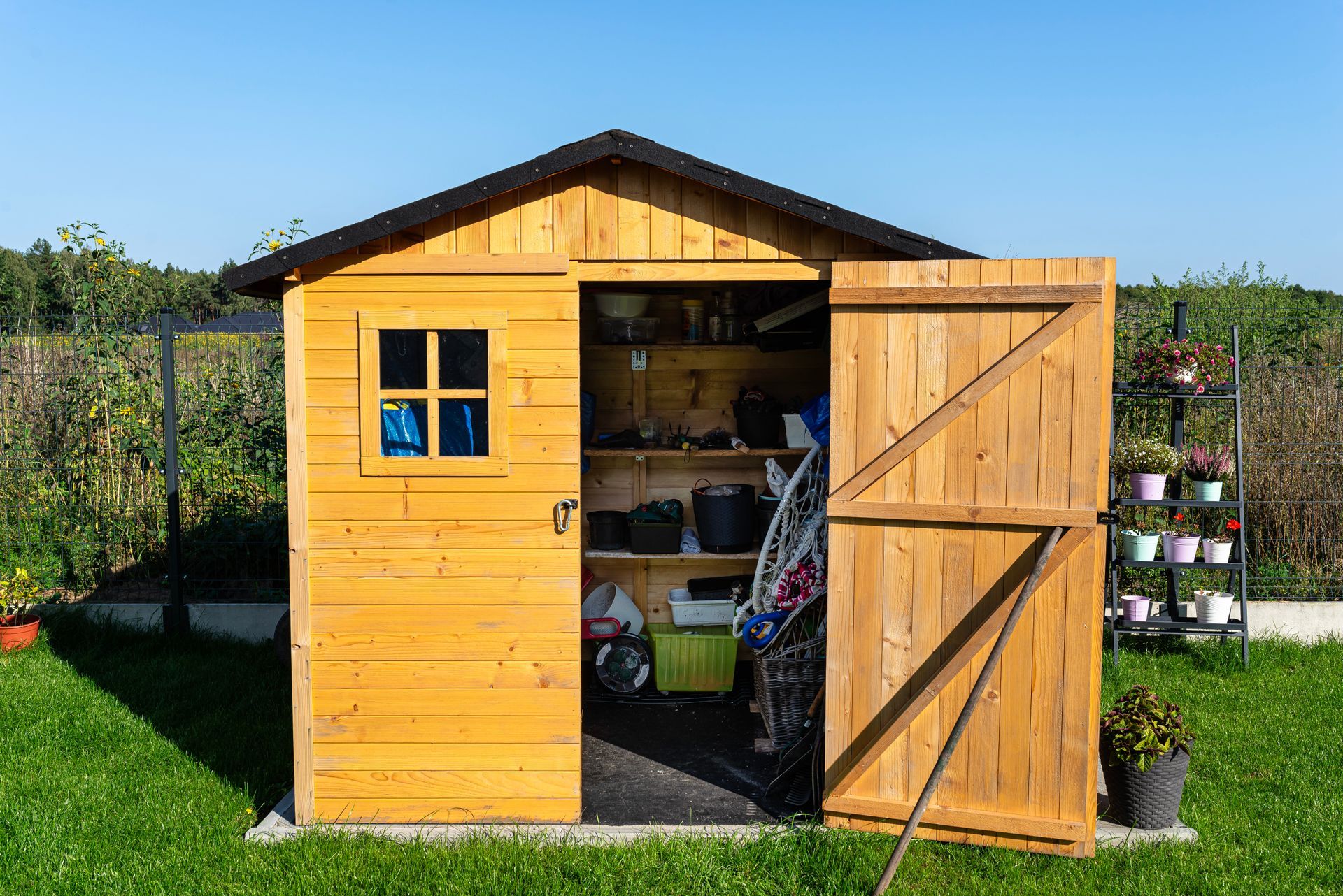 Abri de jardin en bois avec porte ouverte, fenêtre bleue et plantes en pot dans une cour ensoleillée