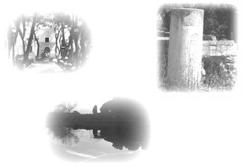 Una fotografía en blanco y negro de un árbol, un pilar y un río.