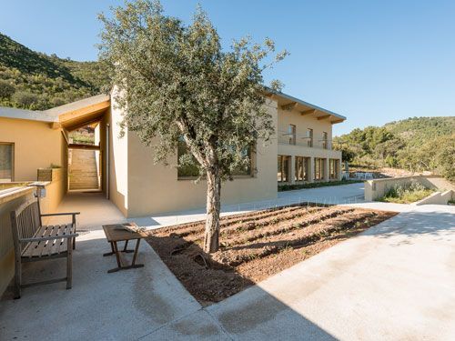Una casa con un banco y un árbol delante de ella.