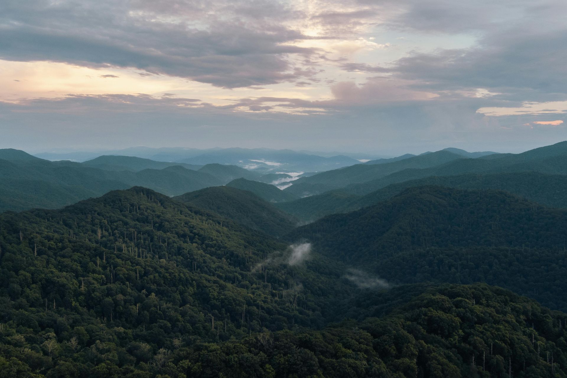 Cades Cove Wildlife Loop