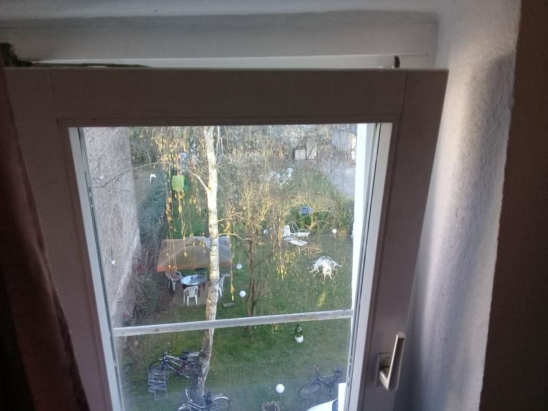 Ein Fenster mit Blick auf einen Garten und Bäume.